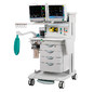 GE Healthcare Aisys CS2