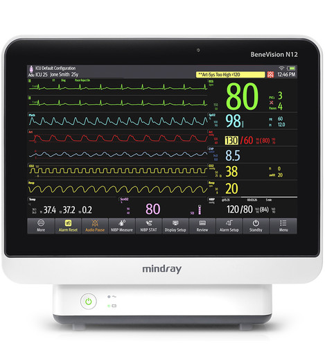 Mindray BeneVision N12