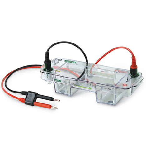 Bio-Rad Mini-Sub Cell GT
