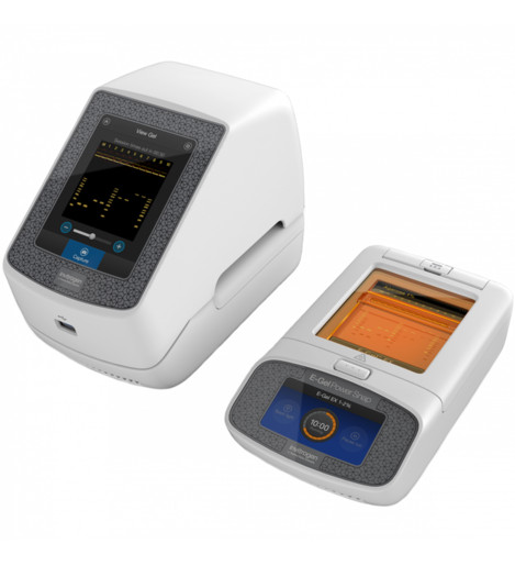 Thermo Fisher Scientific E-Gel Power Snap