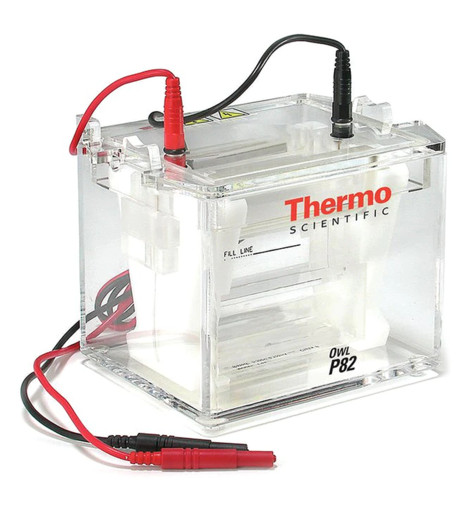 Thermo Fisher Scientific Owl P82 Dual-Gel
