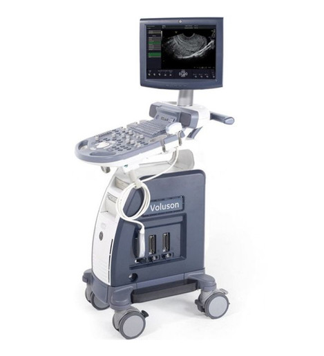 GE Healthcare Voluson P6